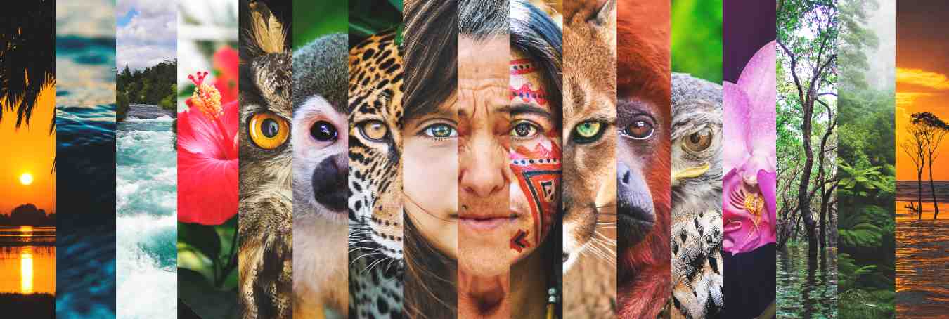 Nuestra Biodiversidad