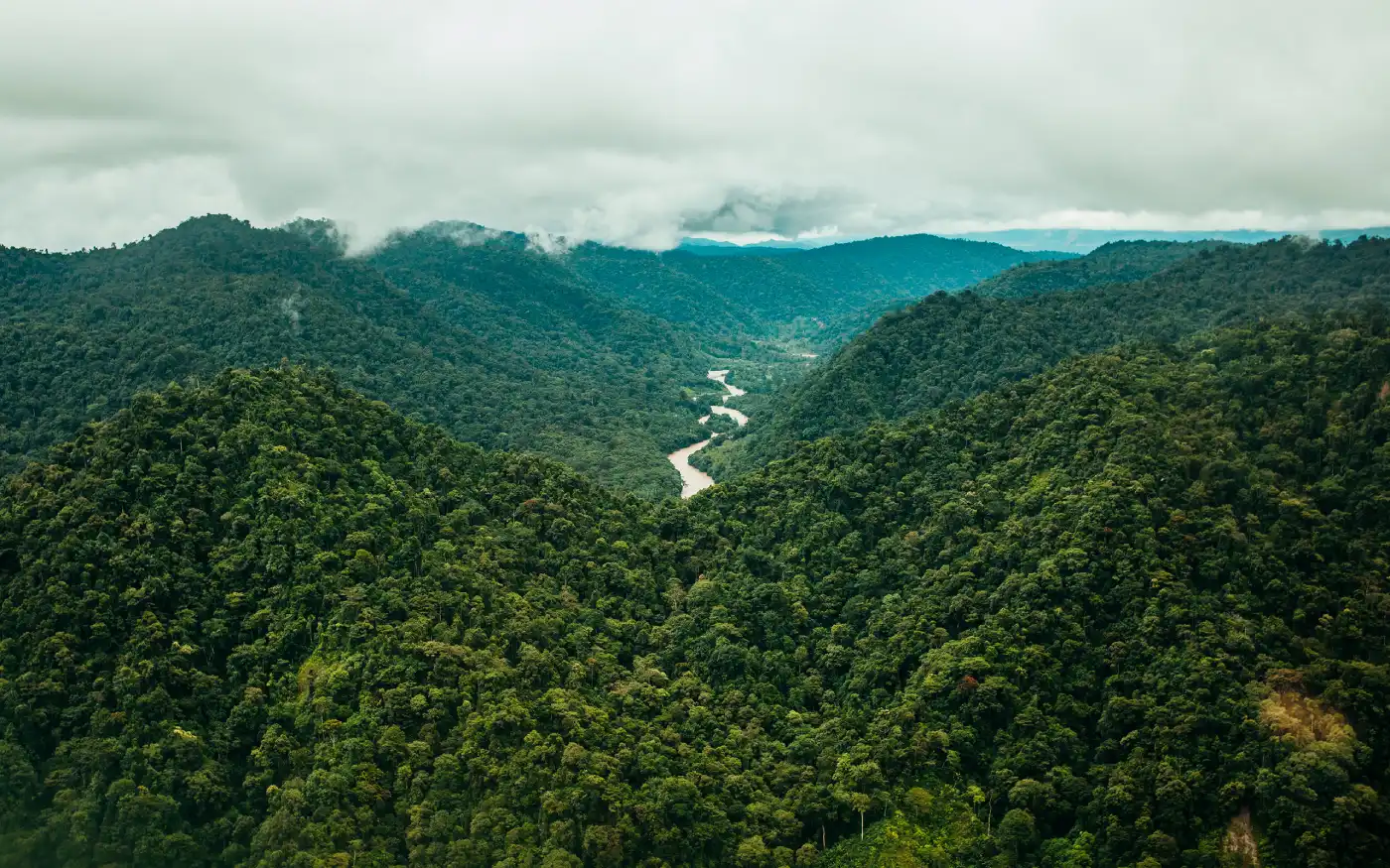 Siembra conciencia ambiental