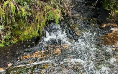 Cundinamarca le apuesta a la conservación de las fuentes hídricas de su territorio