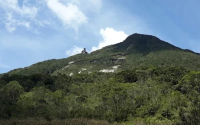 BancO2 Plus: Una iniciativa para mejorar la calidad del aire en Colombia