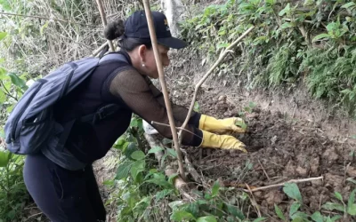 Empresas que van más allá: nuestros aliados Isagen y Gramalote comprometidos por la sostenibilidad del país