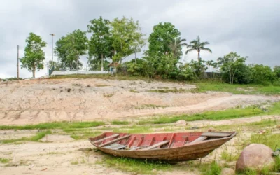 Necesitamos narrativas que impulsen la esperanza y la acción ambiental
