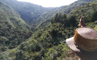 La amistad más antigua: la biodiversidad y la vida