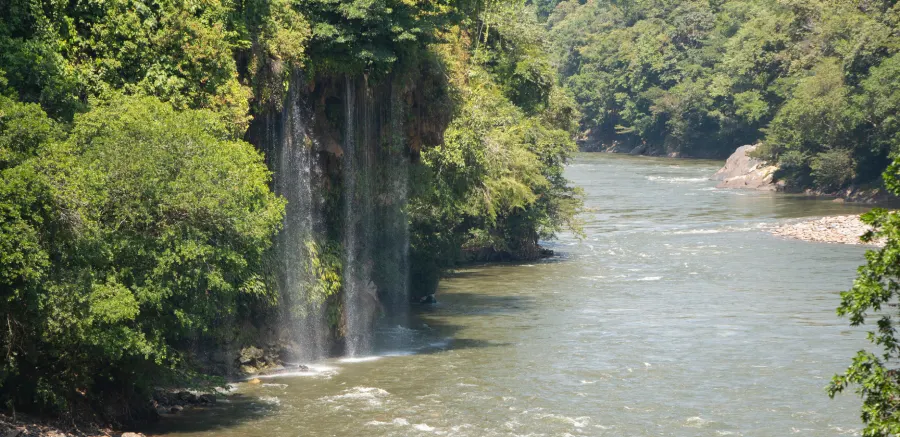 Siembra conciencia ambiental