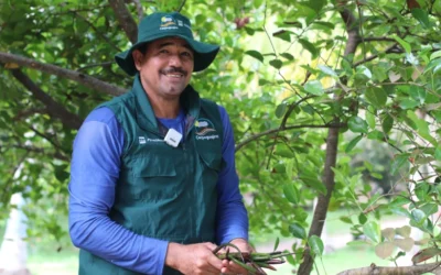 Con incentivos a la conservación Petrobras, Corpoguajira y Masbosques fortalecen el futuro ambiental y socioeconómico del corregimiento de Palomino y el municipio de Hatonuevo en La Guajira.