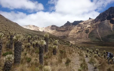 La emergencia climática nos advierte la necesidad de actuar urgentemente y coexistir con la naturaleza