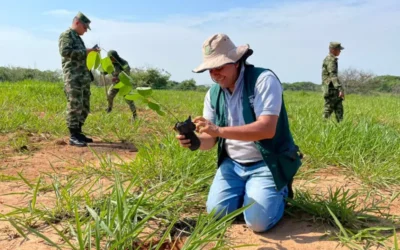 PSA de Masbosques en el Oriente antioqueño: ejemplo de conservación en el país 