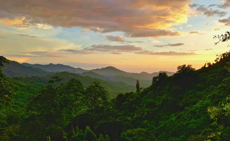 Siembra conciencia ambiental