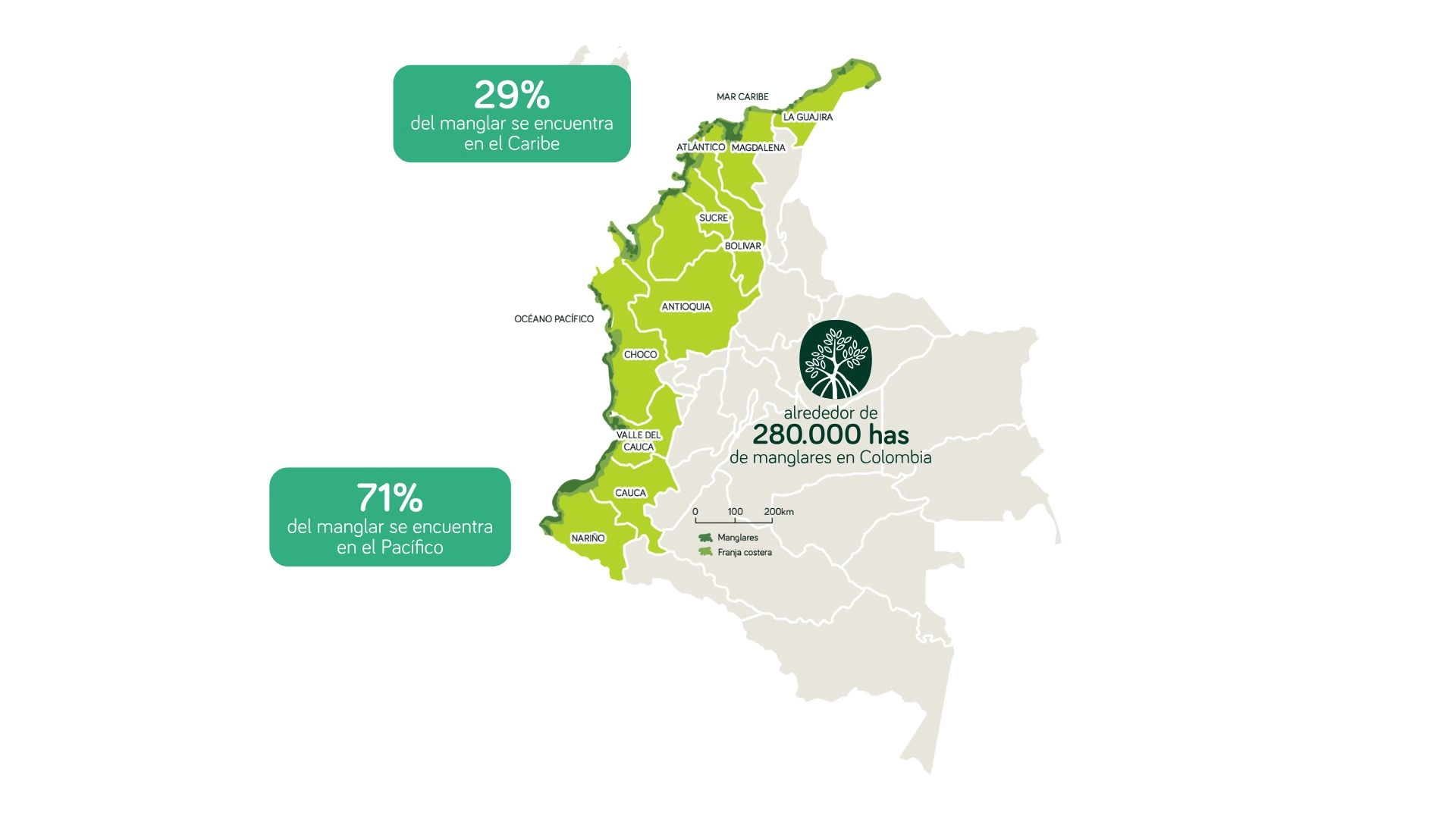 Siembra conciencia ambiental