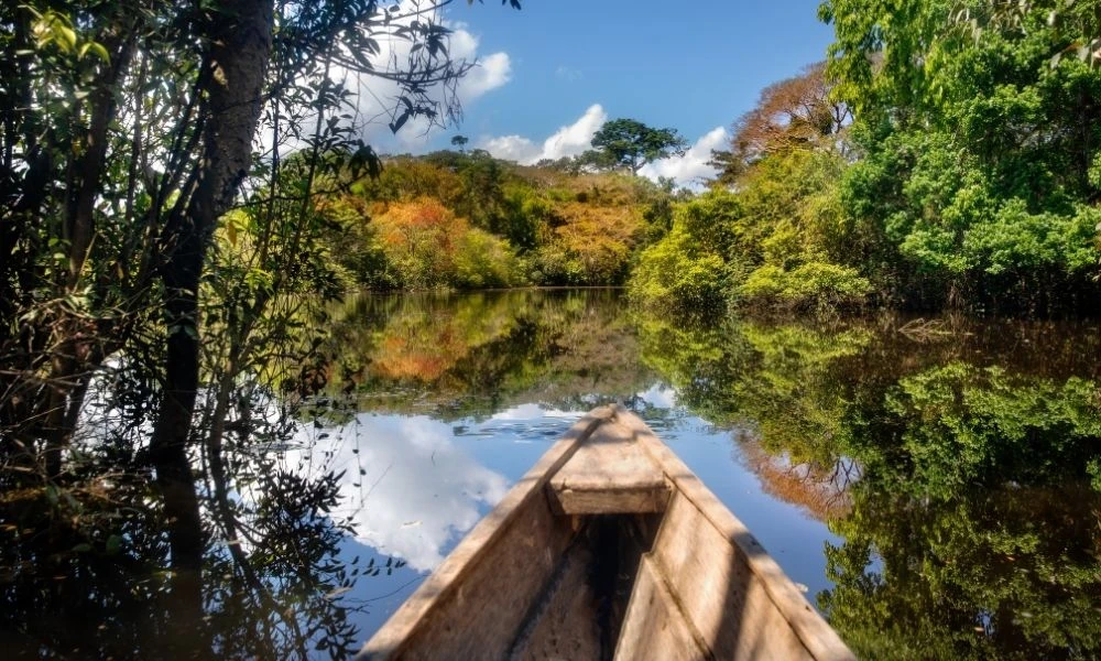 Siembra conciencia ambiental