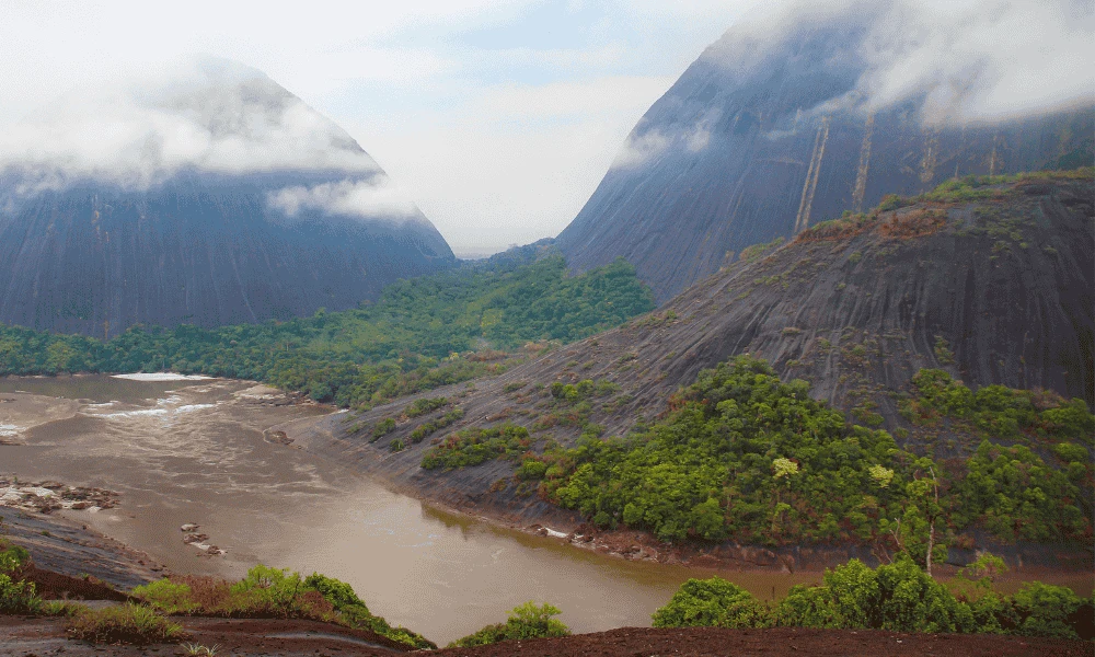 Siembra conciencia ambiental