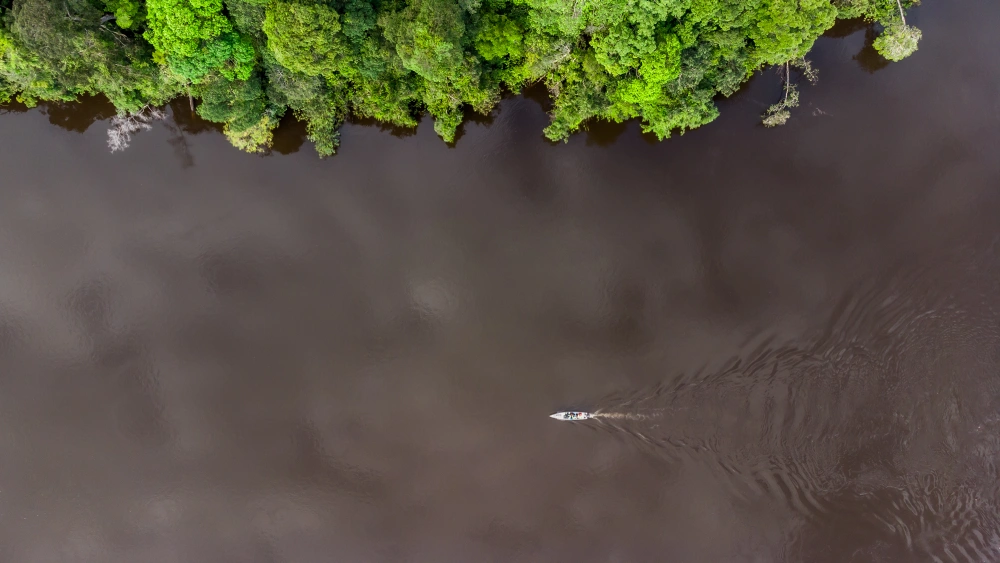 Siembra conciencia ambiental