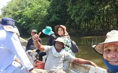 Antioquia: territorio de manglares