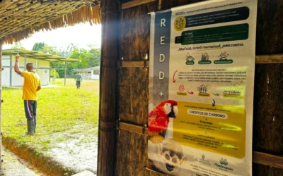 Masbosques le apuesta a metodología innovadora para proyectos REDD+ en Colombia 
