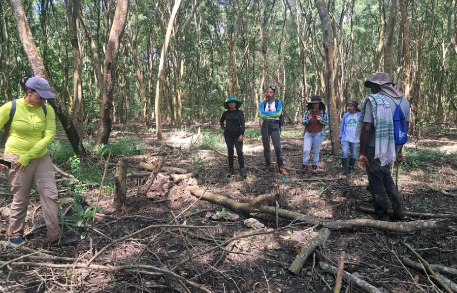 visita supervision uraba manglares Siembra conciencia ambiental