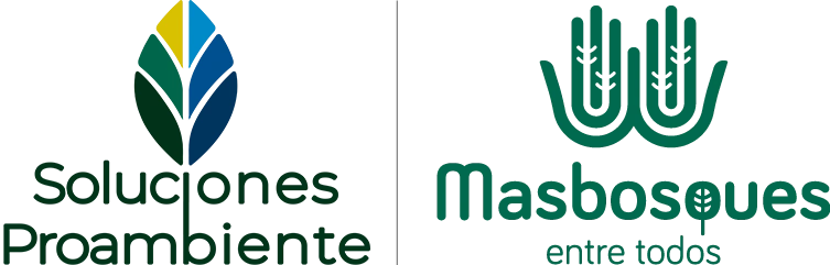logo nuevo soluciones proambiente