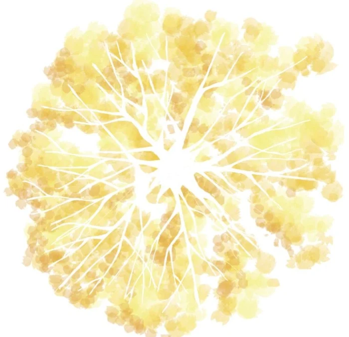 El Reloj Dorado del Bosque