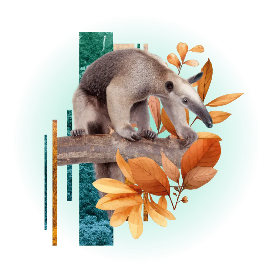 oso hormiguero ano nuevo