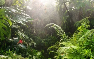 Gestión Del Riesgo De Inundaciones Desde Una Mirada Ecosistémica – Segunda Parte