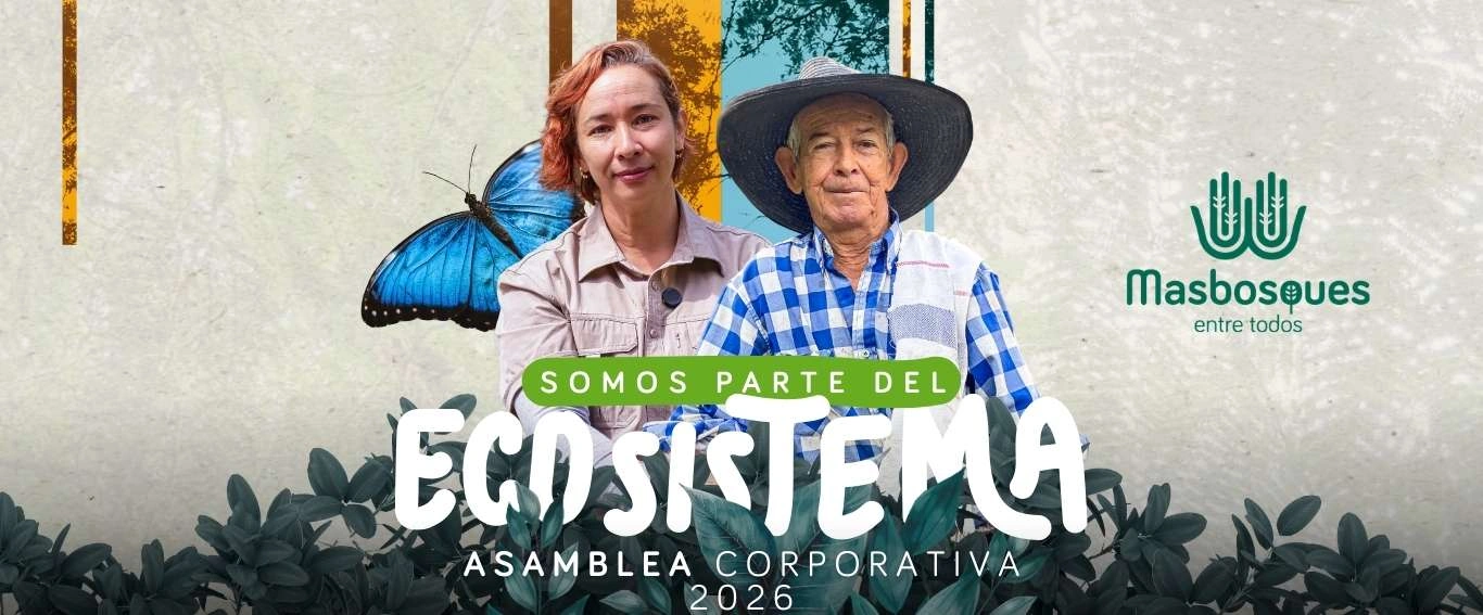 gestion masbsoques 2025