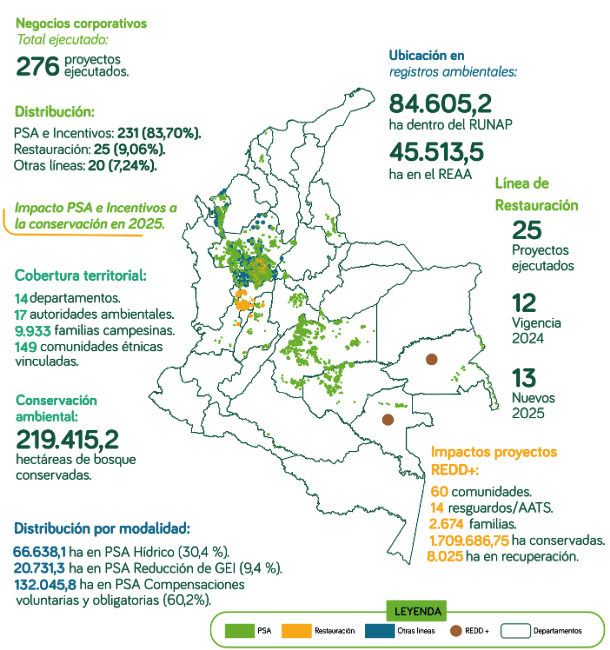 mapa impactos masbosques 2025
