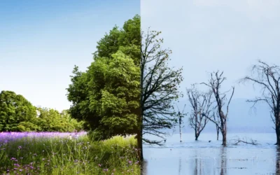 Más allá de un fenómeno climático, El Niño alerta sobre nuestra interdependencia 