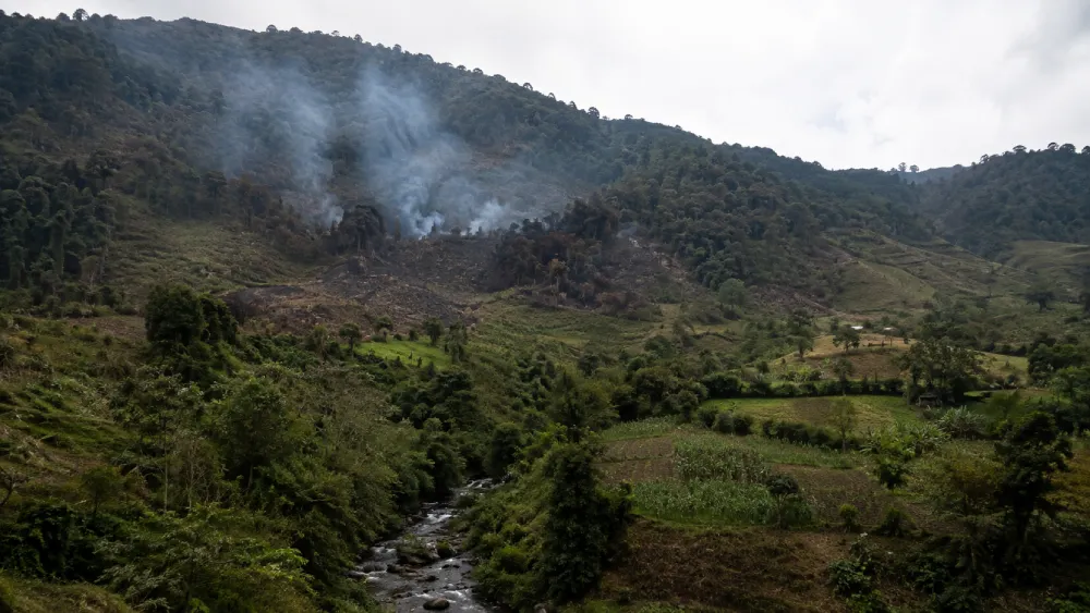 bosque colombia incendios forestales