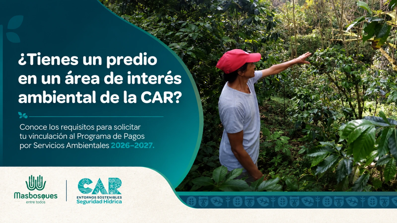 convocatoria-psa-car-2026-2027