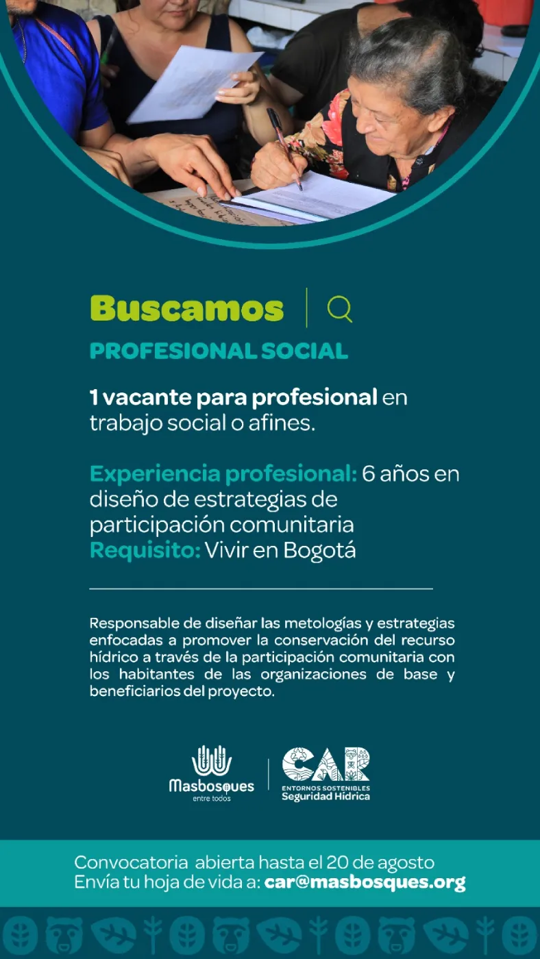 convococatoria profesional social ag 2026
