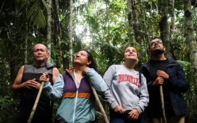 Bosque adentro: los caminos que nos llevan hacia la naturaleza y hacia nosotros mismos 