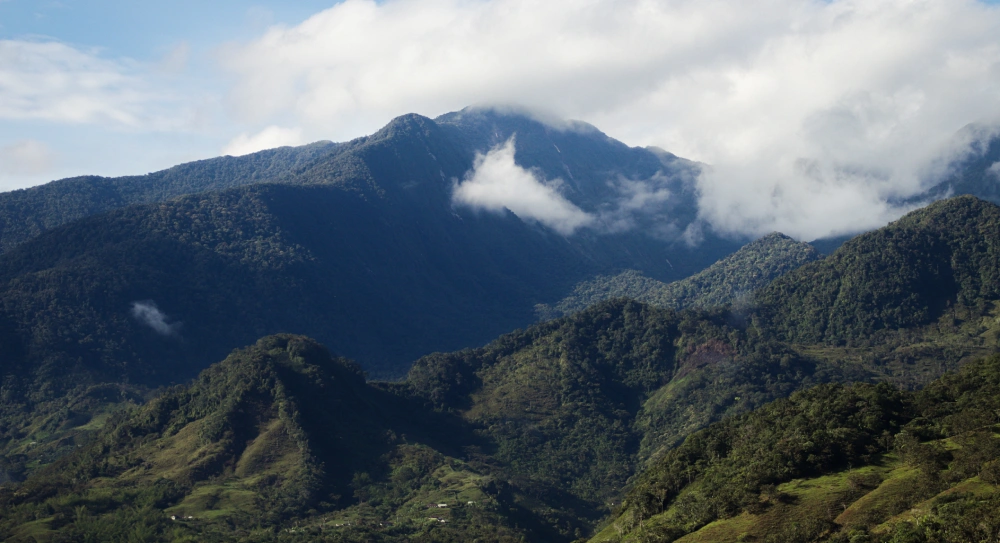 bosque rio verde de los henao, sonson, antioquia